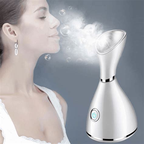 professional facial steamer best price.